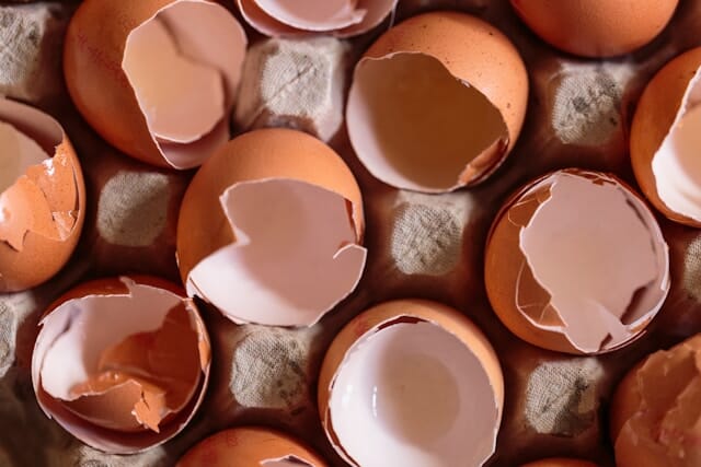 Eggshells Benefits